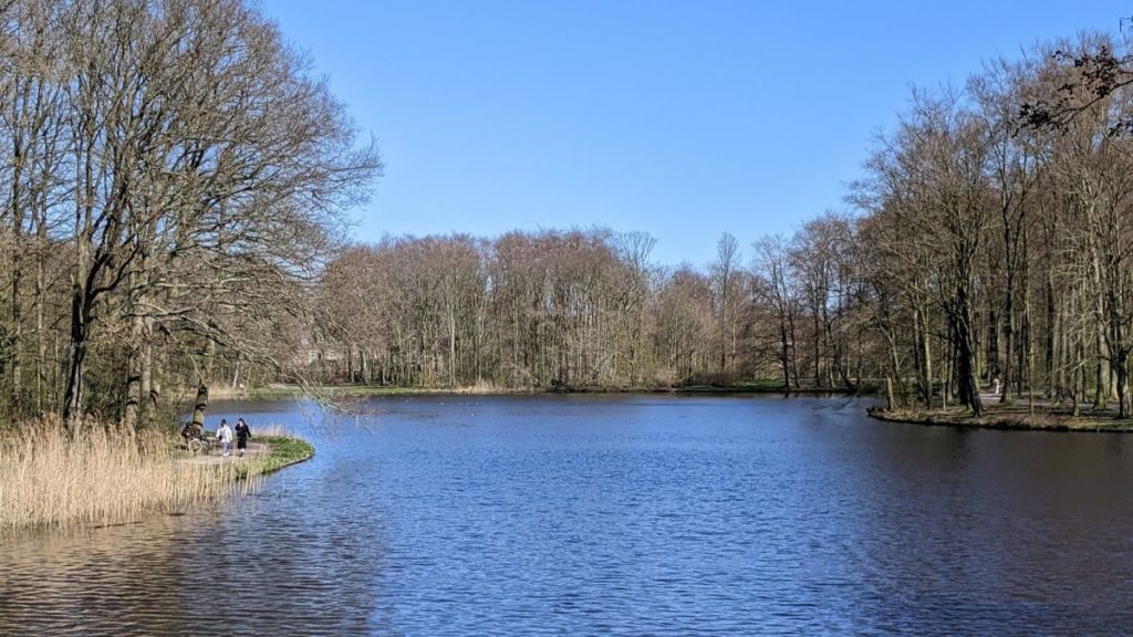 Lake in Haagse Bos Park, Den Haag, Netherlands